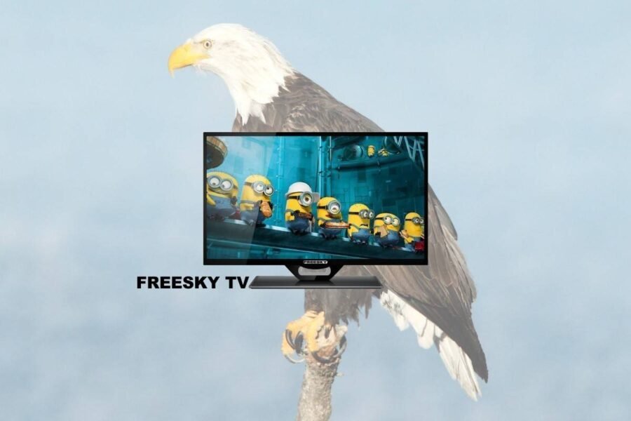 FREESKY TV V4.37 29-07-2020